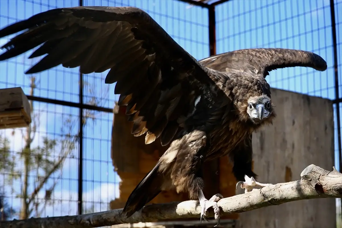 sakaryada lise ogrencileri meslek secimlerini saha gozlemleriyle sekillendiriyor PnONZ9ti