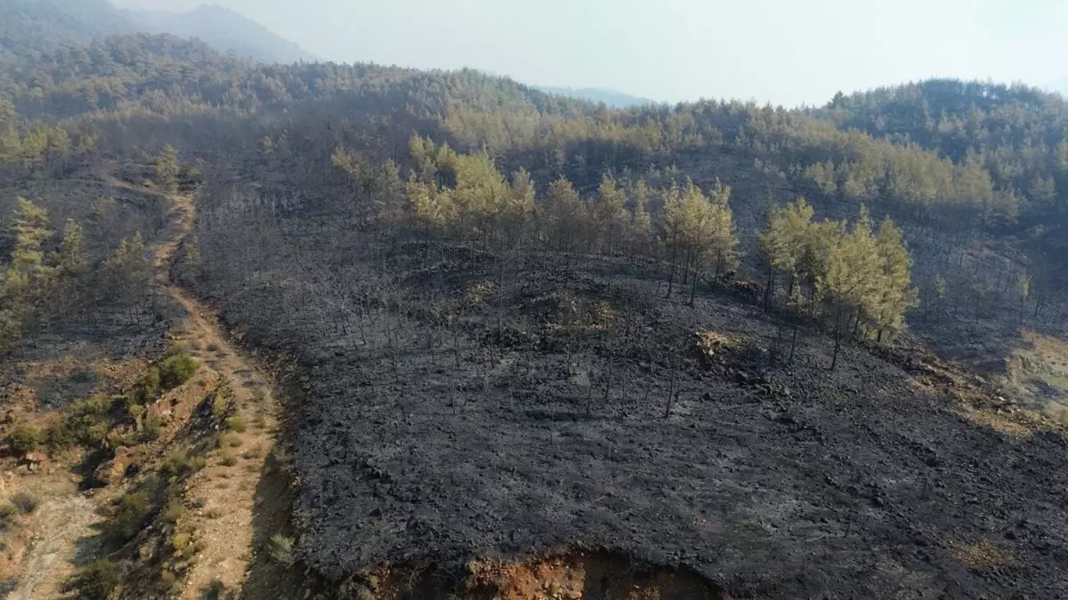 yangin alanlari dronla goruntulendi 8KrhMKm6