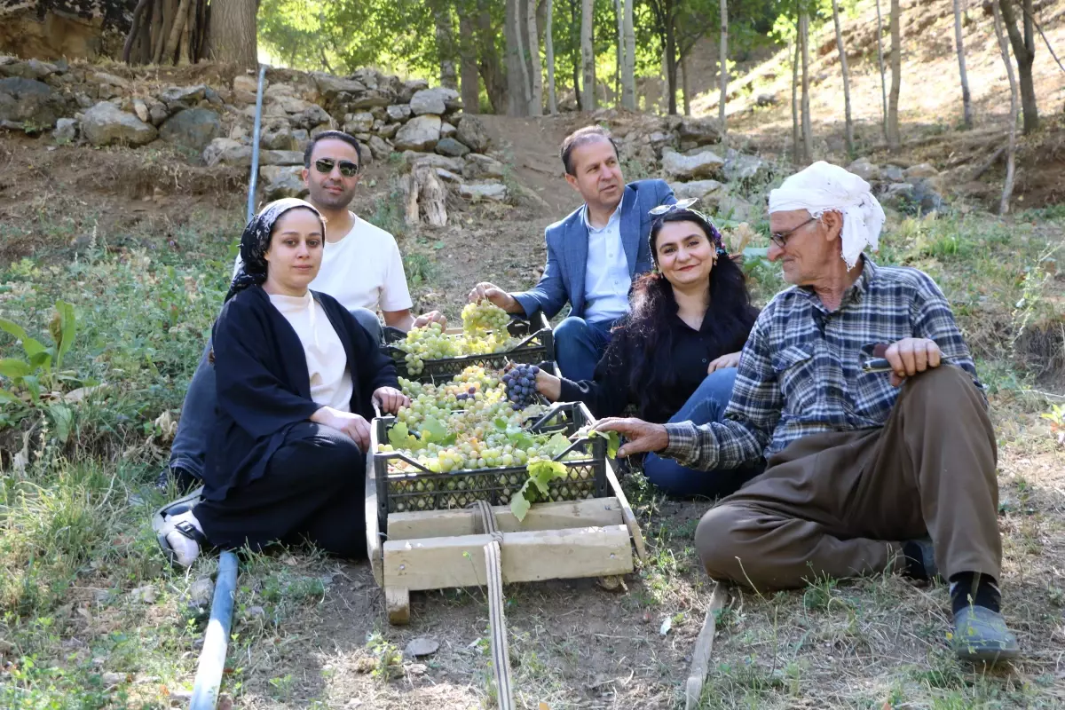 80 yasinda uzum hasadi weIn7p5r